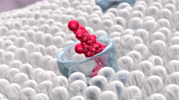 lung drug featured lung drug featured