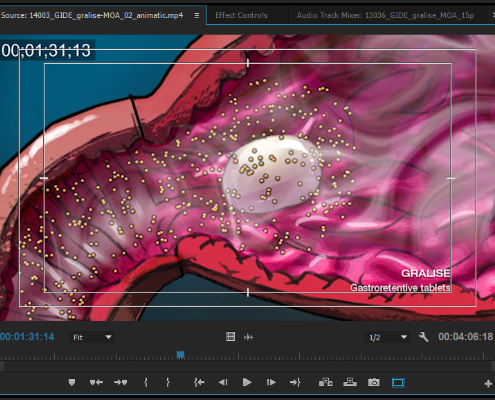 animatic for intestine animation