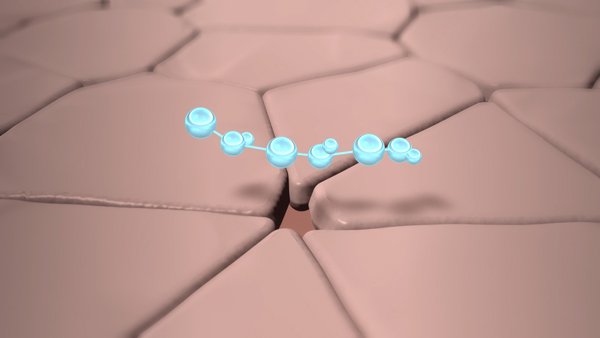 14006_minihya_featured