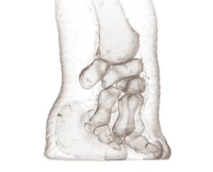 transparency reference