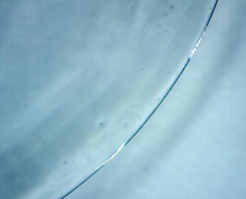 microphotograph_of_lens