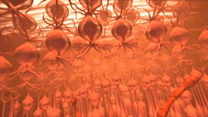 eye care animation featured