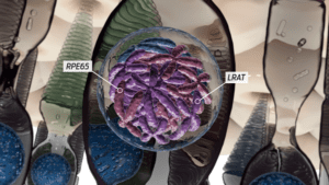 eye animation featured