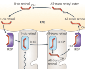process reference diagram