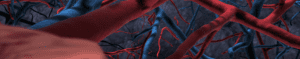 homeSlider vasculature