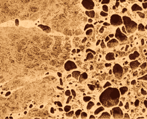 color-and-final-small-details