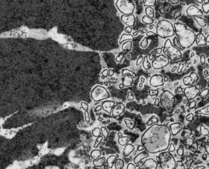 grunges-and-macro-details