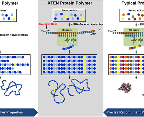 soma_protein_polymer