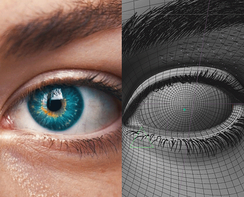 24018_gallery_0000_3d-compare