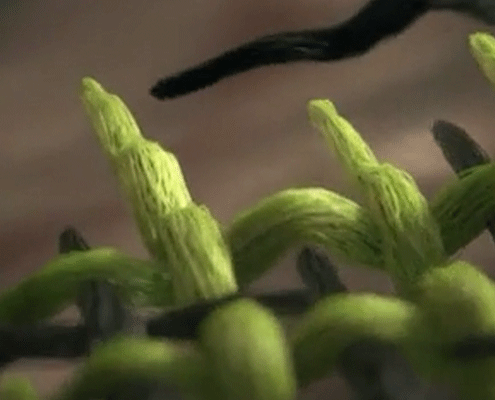 24018_gallery_0004_reference_01